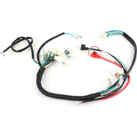 Faisceau de câblage de démarrage moteur pour 50cc 110cc 125cc PIT Quad Dirt Bike ATV avec prise UE (1/5)