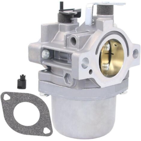 Carburateur pour Briggs & Stratton 799728 498027 498231 499161 (1/4)