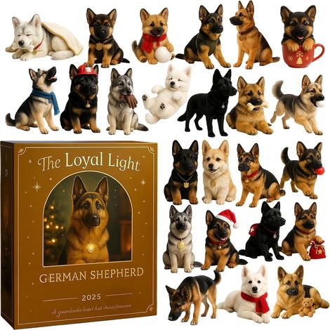 Adventskalender mit Countdown bis Weihnachten – Hundekollektion 24-tägige Weihnachtsdekoration für Mädchen, Jungen, Erwachsene und Hundeliebhaber (1/5)