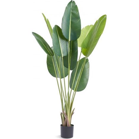 Arbre Artificiel 1524 mm Plante Artificielle PE Palmier Oiseau (1/5)