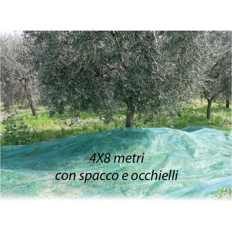 Rete per Olive Antispine mt. 4X8