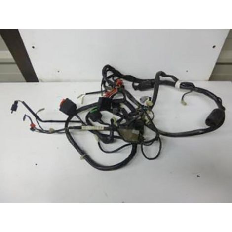 [PRODUIT D'OCCASION] Faisceau électrique origine pour Scooter Honda 125 Pantheon (1/5)