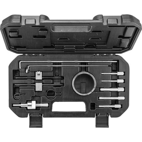 Kit di attrezzi per la fasatura dei motori a benzina PSA (1/5)