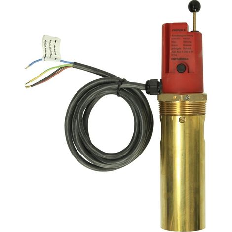 Sécurité de manque d'eau Afriso WMS-WP6- R2 avec raccord fileté R 2'' FM