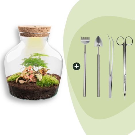 Kit Terrarium DIY avec Lumière Écosystème Autonome Plantes et Outils Ø 20 x 21,5 cm - PANGIVO (1/2)