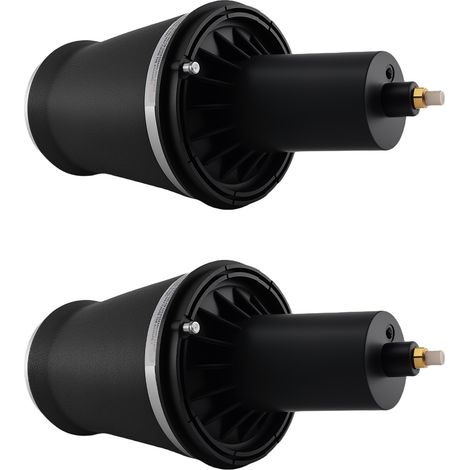 2x Air Suspension Pneumatique for Range Rover P38 P38A Avant Gauche Droite (1/5)