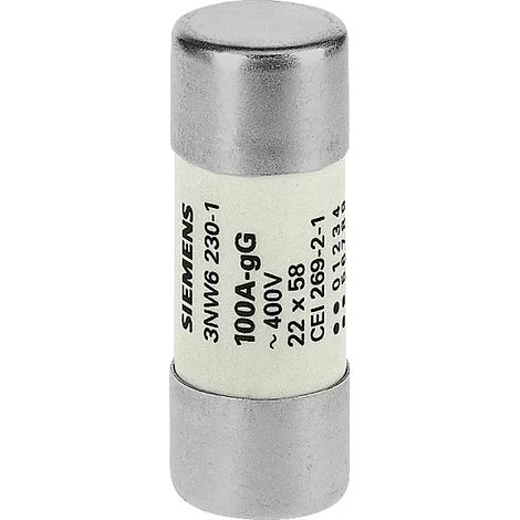 Siemens zylinderfÖrmige sicherung 22x58 100a gg 3nw62301 (1/2)