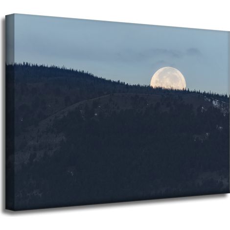 Leinwanddruck „Natur – Aufgehender Mond“, 40 x 30 cm