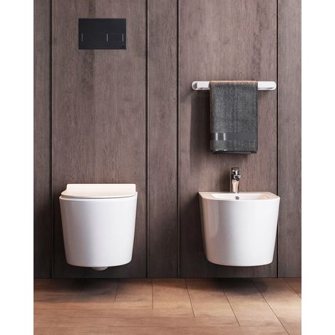 Coppia sanitari sospesi rimless in ceramica sedile soft close bianco lucido Linea Esse (1/5)
