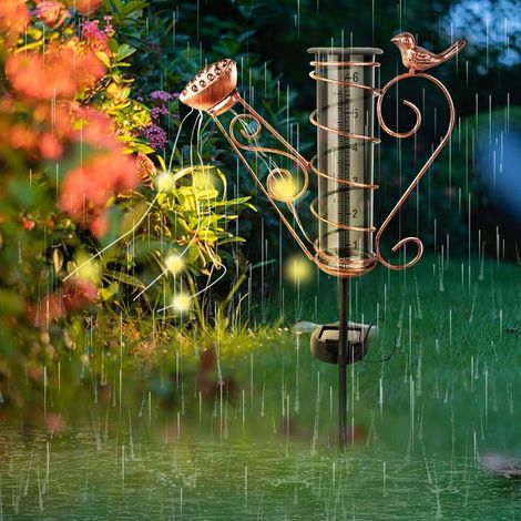 Pluviometre Exterieur Jardin, Exterieur Resistant Gel avec Piquet en Métal, Solaire Verre avec Lumière,pour Jardin,Cour,Terrasse,Allée de Pelouse (1/5)