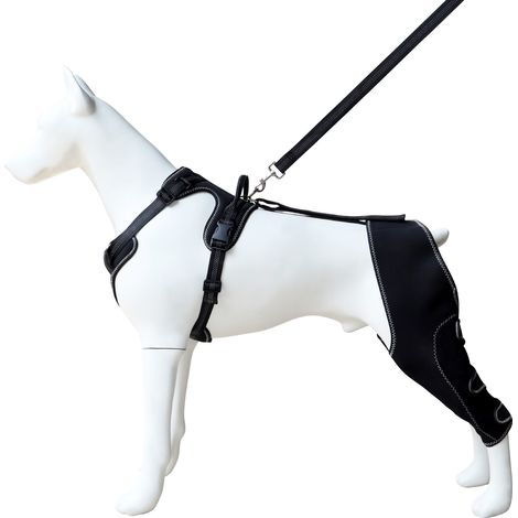 Rodillera ajustable para perros con correa, soporte para las patas traseras y ayuda para la recuperación de lesiones del ligamento cruzado anterior. (1/4)