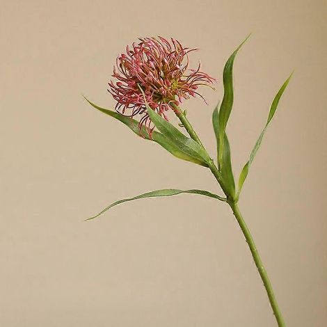 Chrysanthème artificiel en plastique, tige unique, aiguille, photographie de mariage, décoration intérieure, art floral, fausse fleur de chrysanthèmerose foncé (1/5)