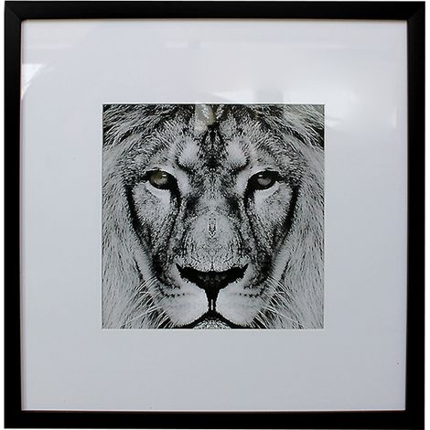 SpazioLuzio - Cuadro León con cristal y  marco madera negro 43cm