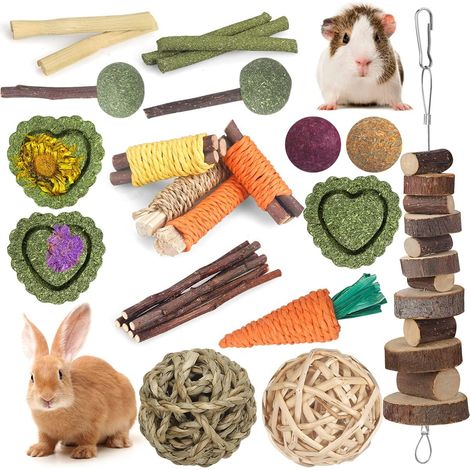 Jouets de Lapin Jouets de Cochon d'Inde Jouets de Hamster 18 pièces Bâtons de Foin de Timothée Naturels Bâtons de Bois de Pommier Jouets (1/5)