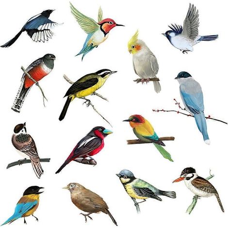 Stickers muraux amovibles représentant de petits oiseaux britanniques colorés en vol - Décoration de jardin - Poster pour chambre, cuisine, salon (1/5)