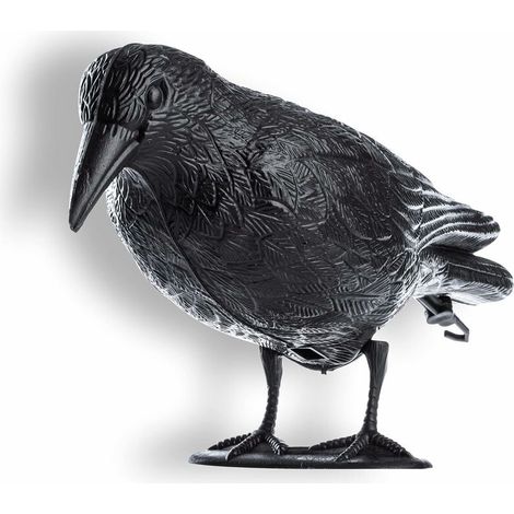 Corbeau Noir, répulsif à Pigeons et répulsif à Pigeons en Plastique, répulsif à Oiseaux, antiparasitaire Naturel, Protection Contre Les Oiseaux agaçants (1/4)