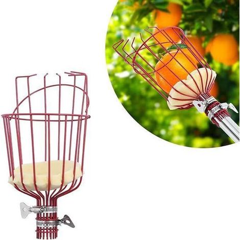 Cueille-fruits 1 pièce 33 cm sans poignée, bouton réglable, convient pour les pommes, les avocats, les pêches, les poires et les citrons rouges. (1/5)