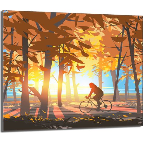 Plaque de protection en verre pour poêle 60x52 Las (1/5)