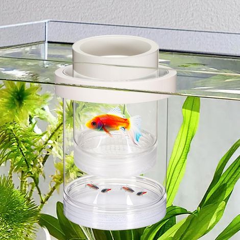 Boîte d'élevage pour aquarium, boîte d'élevage flottante en plastique pour bébé, séparateur de poissons pour aquarium, incubateur d'isolation transparent pour crevettes, betta, poisson-clown, guppy (1/5)