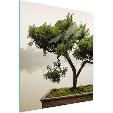 TAGLIERE IN VETRO 45x52 Albero (1/5)