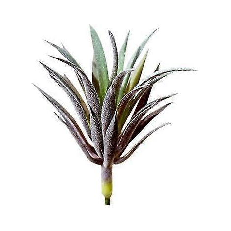 plante succulente artificielle à monter soi-même, réaliste, pour jardin, bureau, maison, décoration bonsaïviolet (1/5)