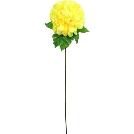 Crisantemo, fiore singolo a forma di palla, di colore giallo