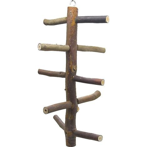 Support en bois naturel pour perroquets, branches, fourche, perchoir, tige, conure, inséparables
