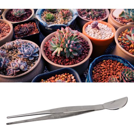 Couteau en acier inoxydable en forme de croissant pour ameublir et rempoter les bonsaïs, pince à planter et rempoter les plantes succulentes, prix fixe. (1/5)