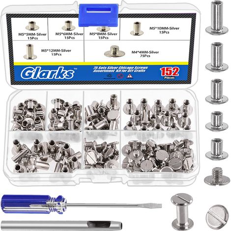 Lot de 150 vis Chicago argentées, M5 x 5 mm, 6 mm, 8 mm, 10 mm, 12 mm et vis à goujon à tête plate 4 x 4 mm, accessoires métalliques (1/5)