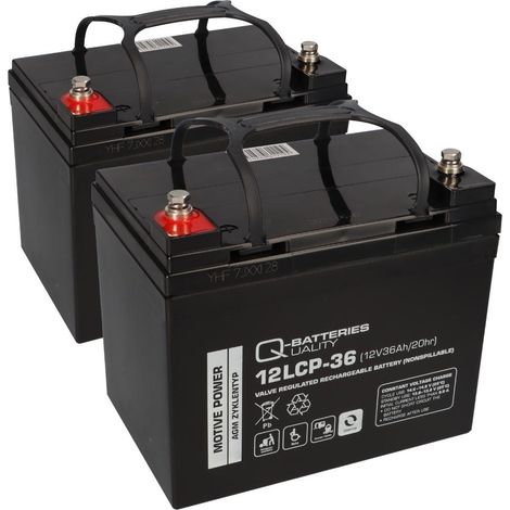 Akku kompatibel E-Mobil Dietz Bechle 2x 12V 36Ah (1/5)