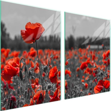 Plaque de protection en verre pour poêle 2x45x52 Fleur (1/5)