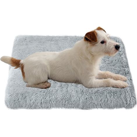 Tapis orthopédique pour chien avec housse amovible et lavable. Apaisant - polyvalent et de couleur gris clair. Dimensions : 120 x 75 x 10 cm - il est léger (1/5)