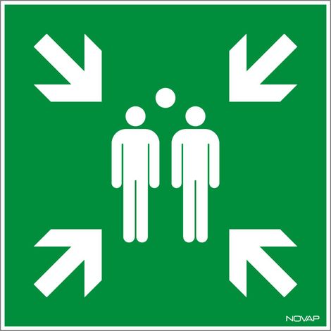 Panneau Point de rassemblement - Rigide 480x480mm - 4301044 (1/4)