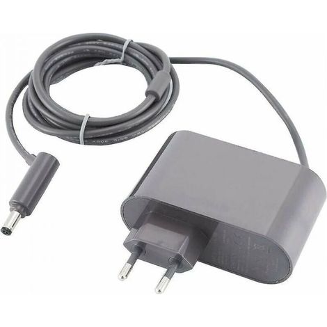 Convient pour Dyson V6 V7 V8 DC58 DC59 DC61 DC62 SV03 SV04 SV05 SV06 SV07 Chargeur Adaptateur Aspirateur CA (1/5)