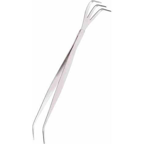 Ensemble 2 en 1 Outils de Jardinage en Acier Inoxydable Pinces et Râteau pour Bonsaï - KZQ (1/5)