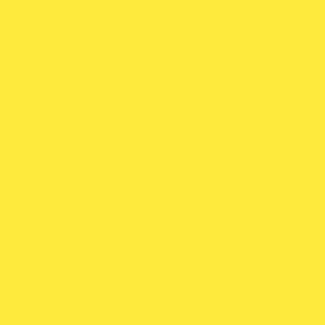 0.75L-jaune soleil-Peinture mate bois intérieur CANTO (0.75L/10m2) Livos (1/3)