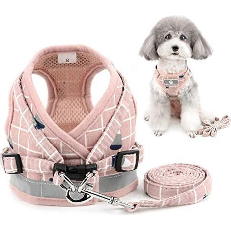 Filiyano-Harnais et laisse anti-traction pour petits chiens, réglables, avec système d'enfilage facile. Gilet en maille pour chiots, mâles et femelles (1/5)