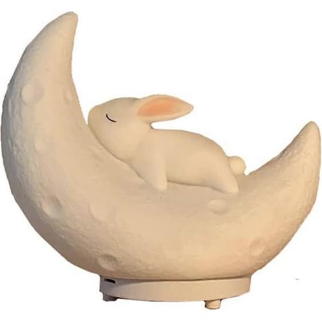 Lampe de chevet lumineuse Moon Cute Tooth Rabbit Pat Light Radio Card Bluetooth Speaker Colorful Light Cute Sleep Home Bedroom Bedside Table Lamp (1/5)