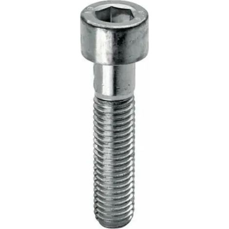 VITE PER METALLO TESTA CILINDRICA ESAGONO INCASSATO IN FERRO ZINCATO  DIAMETRO 8 MM - LUNGHEZZA 20 MM