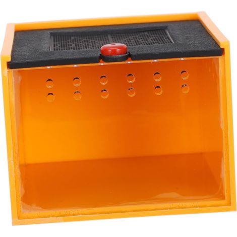 Mini Acrylic Terrarium for Jumping Spiders, Orange Box (1/5)