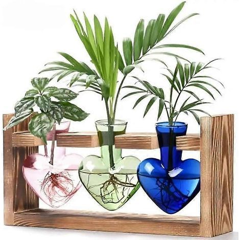 Terrarium de propagation pour plantes. station hydroponique. décoration de jardin. cadeau pour femme avec support en bois et vase en verre coloré en forme de cœur (1/5)