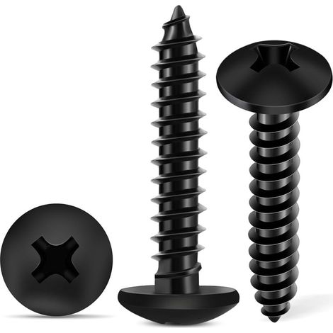 Lot de 100 Vis à Bois - Acier Inoxydable Noir - Tête Lentille PH2 - Résistant Corrosion - Intérieur Extérieur - 4x20 mm (1/5)