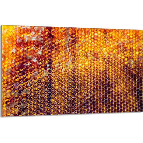 Glasschutzplatte für den Herd 80x52 Honig