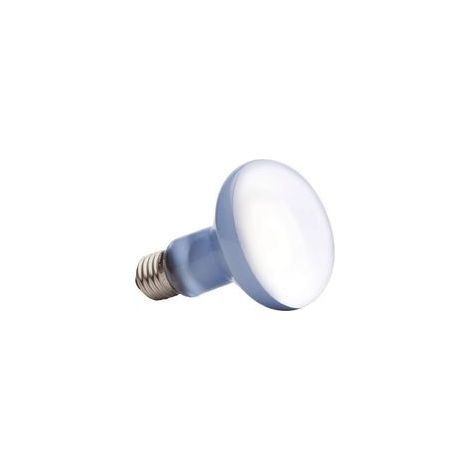 Ampoule chauffante UVA 100W pour reptiles et amphibiens – Luminosité élevée – Étanche – Durée de vie prolongée (1/4)