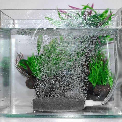 Aérateur à bulles pour aquarium, pompe à eau hydroponique, mini pompe à air de 8 cm de diamètre (1/3)