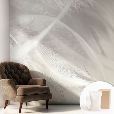 Papier peint intissé mural pour salon chambre à coucher tendance et originale - Colle incluse gratuite Plumes subtiles 250x250 cm (1/5)