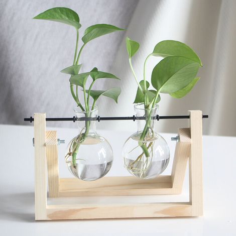 Station de multiplication des plantes avec support en bois, terrarium pour plantes, décoration de bureau à domicile, support en rondins de bois pour jardinage, deux bouteilles (1/5)