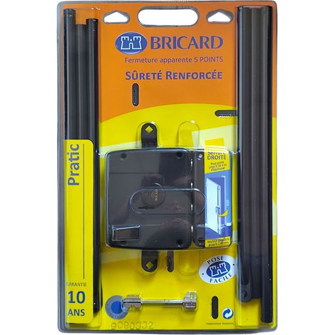 Bricard – Serrure électrique multipoints verticale 5 points – Tringlerie télescopique recoupable – Pour portes jusqu'à 50 mm d'épaisseur – Gâche renforcée (1/5)