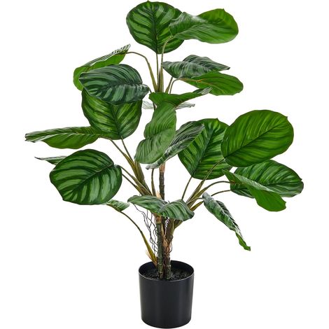 Pianta verde artificiale in vaso finta decorativa Calathea (1/5)