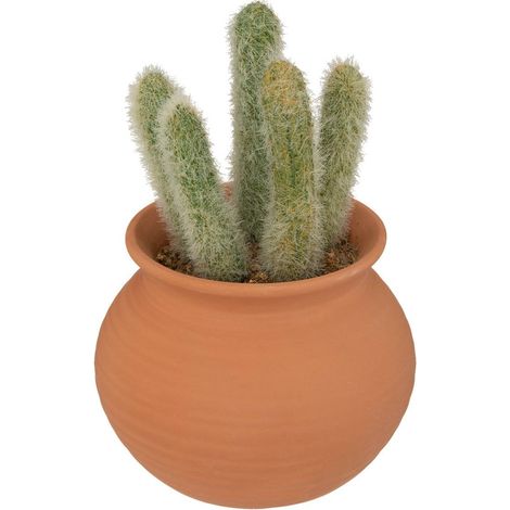Cactus en pot Alicante terracotta H16,5cm - Atmosphera créateur d'intérieur